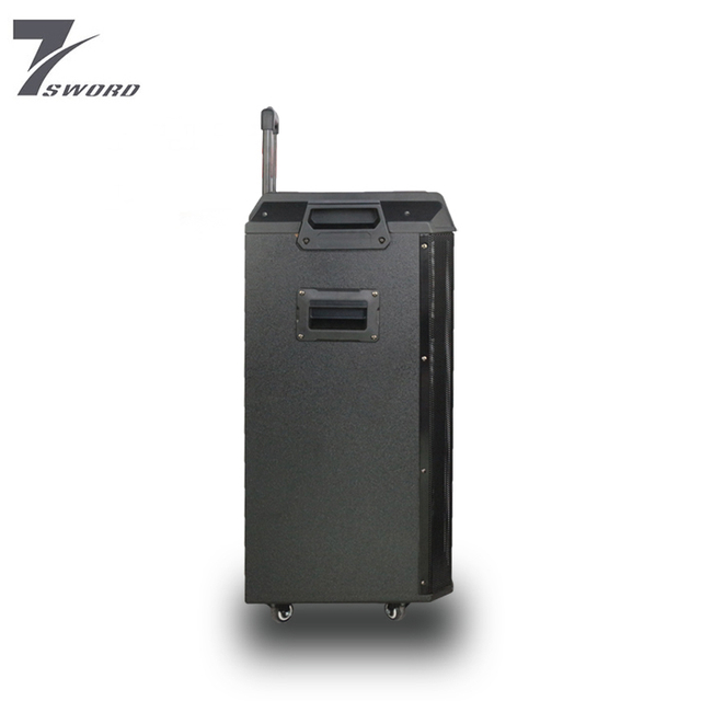 15 Inch Led Light Speaker for Home Speaker Theater Bt Trolley Portable Speaker