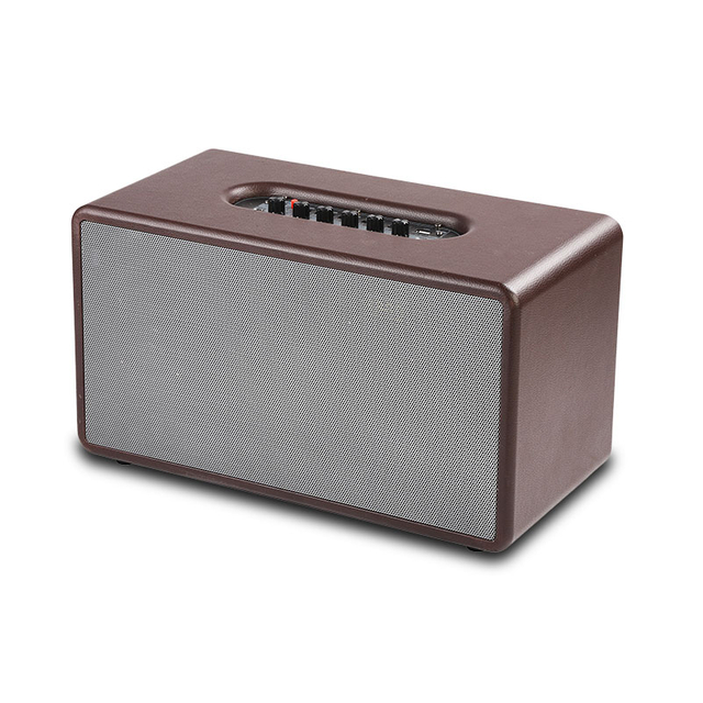 Bluetooth Live Speaker Dual Portable Speaker for Indoor Party Bluetooth Speaker