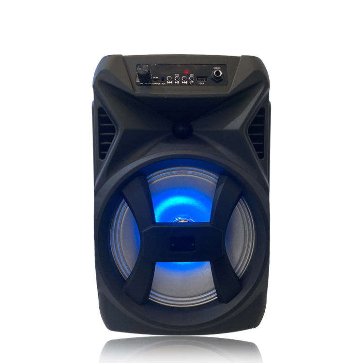 Exploring The Dynamics of Outdoor, Professional, And Portable Speakers