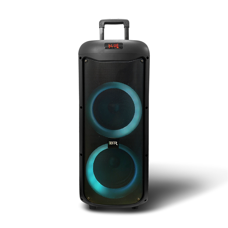 OEM hot sale dual 8 inch portable wireless party speaker with bluetooth QJ-5051