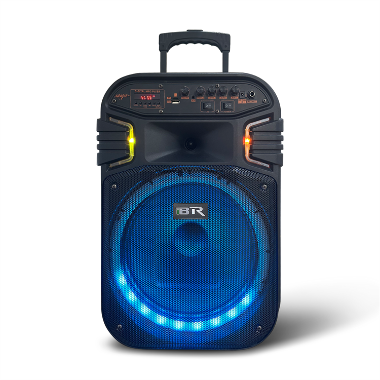 Unleash Your Inner Performer with The Best Wireless Karaoke Trolley Woofer Speakers