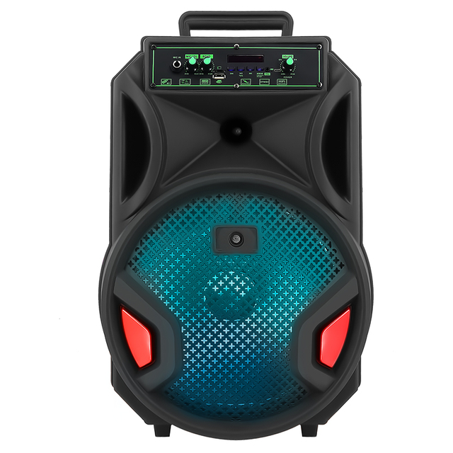 Speaker 12 Inch Portable Audio Player Wireless PORTABLE Trolley Speaker 12 Inch