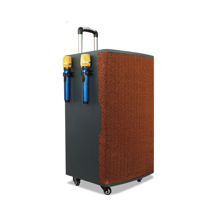 New Coffee Color 15 Inch 200W Wood Trolley Speaker for Square And Party
