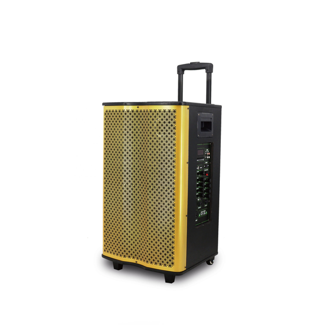 High Quality Wood 12 Inch Trolley Speaker for Outdoor