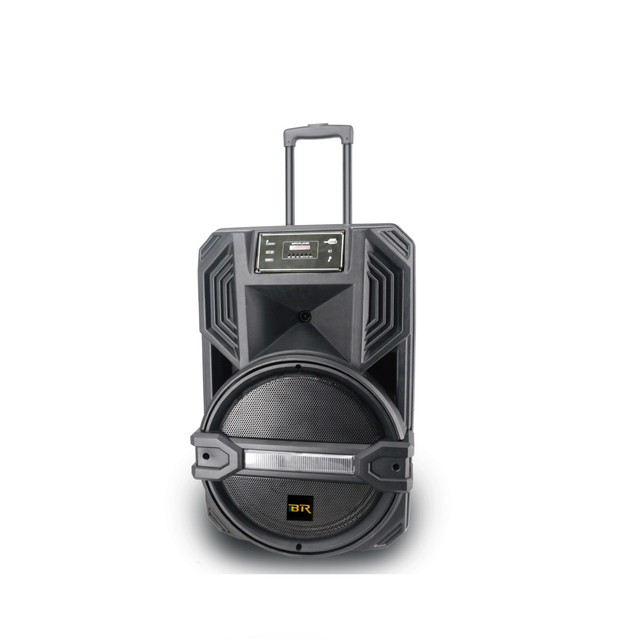 15 Inch BT Speaker Wireless Sound System