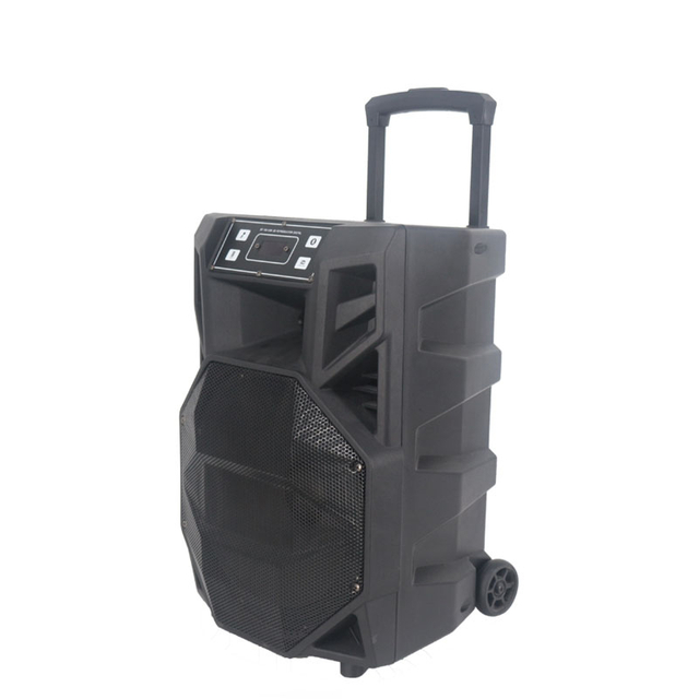 50W Black Portable Plastic Trolley Speaker with 12 Inch Woofer