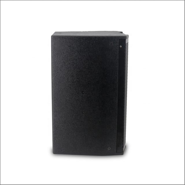 12 Inch 300 Watt Professional Audio Speaker for Stage Indoor Use