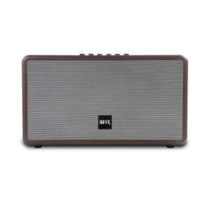 Bluetooth Live Speaker Dual Portable Speaker for Indoor Party
