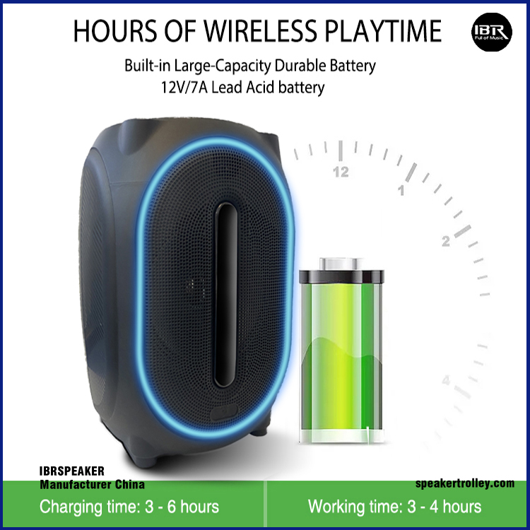 Portable Outdoor Karaoke Machine IBR-T312 (4)