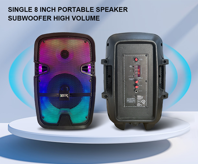 Portables Party Speaker with low price China