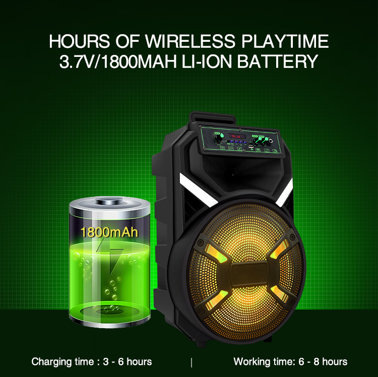 12 inch party speaker