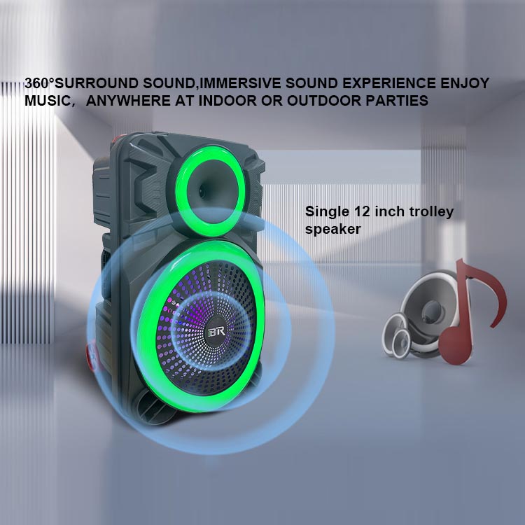 OEM wireless bluetooth Portable amplifier