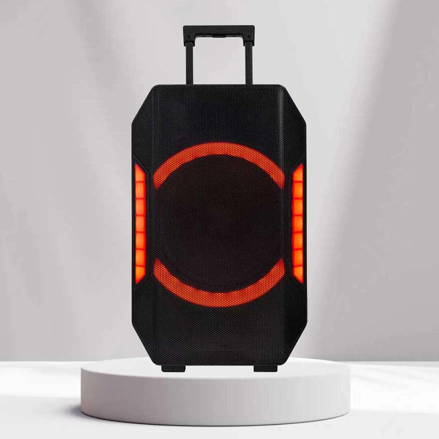 Choosing A Professional Active Speaker