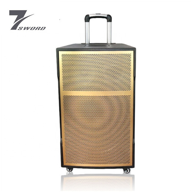 15 Inch Amplifier Audio Portable Trolley Magnetic Bass Speaker