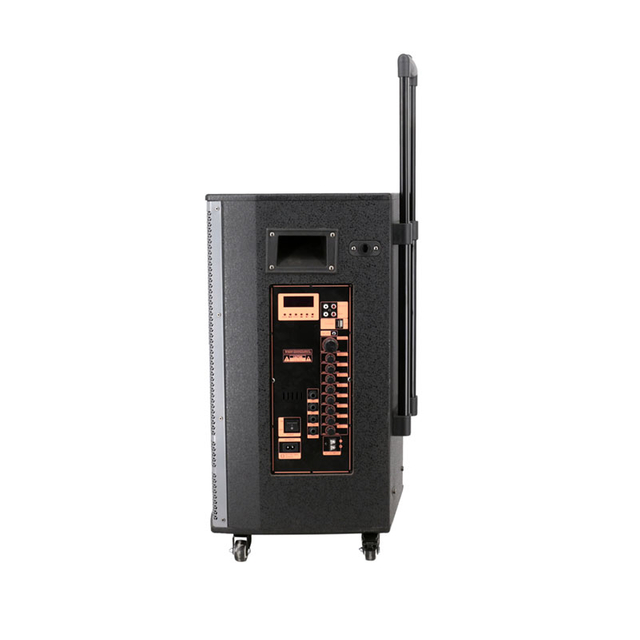 Optional Color Wooden 12 Inch Trolley Speaker for Party Cabinet