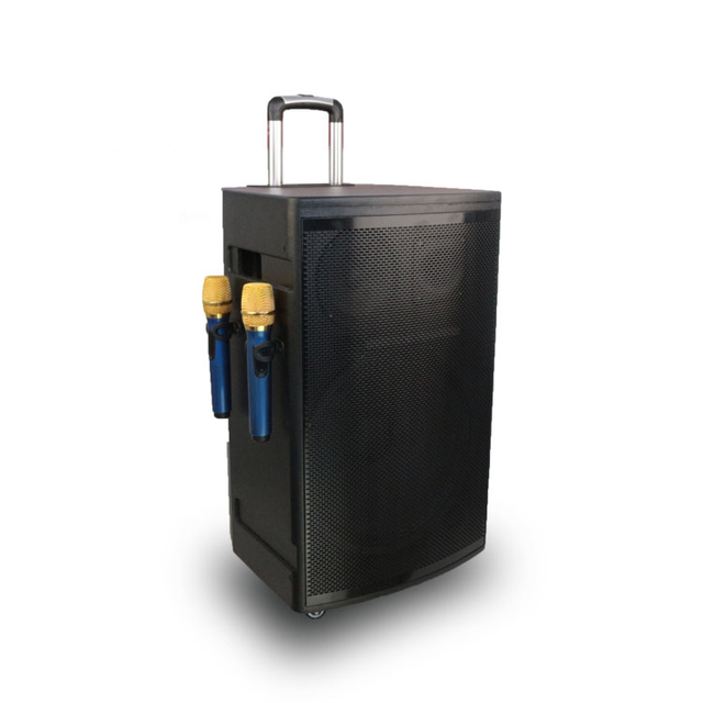 Super Big Bass 15 Inch Outdoor Trolley Portable Speaker