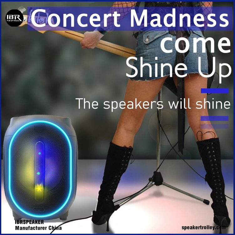 Portable Outdoor Karaoke Machine IBR-T312 (7)